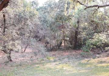 Terreno à venda em vila santo antônio - sp