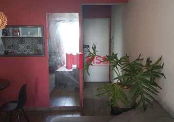 Espetacular apartamento padrão - oportunidade única