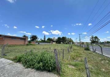 Terreno de esquina no parque pinheiro machado - pronto para construir