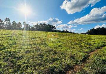 Área de 16,6 hectares - ideal para sítio