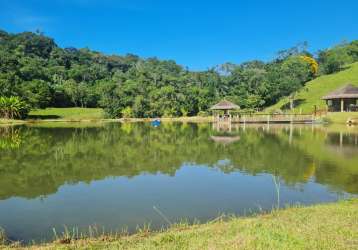 Sitio palmas paraíso em pomerode