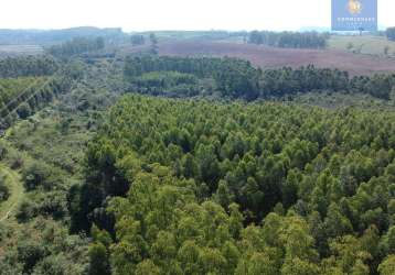 Área de terras com 16,9 hectares no passo da pimenta