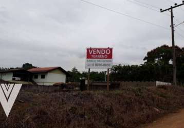 Terreno à venda, 8500 m² por r$ 3.600.000,00 - encano do norte - indaial/sc