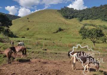 Fazenda 50 alqueires na zona norte de são josé dos campos, próxima ao asfalto!