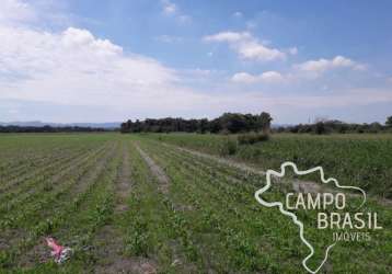 Área rural de 2,5 alqueires em caçapava.