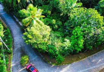 Terreno a venda no condomínio fazenda praia do forte, 450m² cercado de mata atlantica, com toda infraestrutura de segurança e lazer por r$ 300.000,00