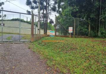 Terreno à venda na rua emílio alexandrino da silva, 290, santa felicidade, curitiba, 856 m2 por r$ 650.000