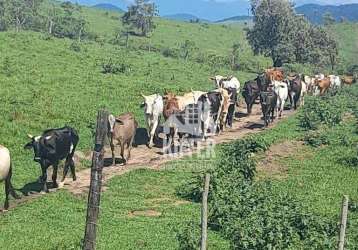 Fazenda com 3 dormitórios à venda, 2032800 m² por r$ 6.500.000,00 - papucaia - cachoeiras de macacu/rj