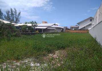 Terreno à venda na avenida do papagaio, 3325, balneário ponta do papagaio (ens brito), palhoça, 468 m2 por r$ 550.000