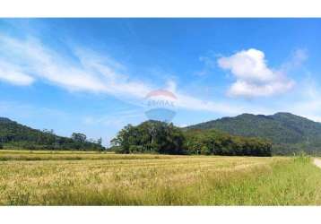 Liberdade de viver no campo e estar próximo da cidade