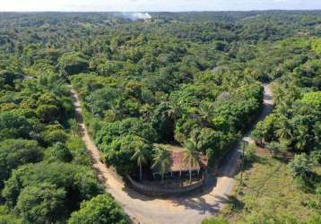 Terreno para venda em camaçari, cachoeirinha (abrantes), 3 banheiros, 99 vagas