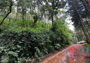 Terreno à venda monte verde em camanducaia