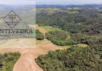 Área para venda em campo magro, roseira de santa rita