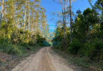 Belíssima área rural para fazenda com terreno de 266 hectares à venda em tijucas/sc