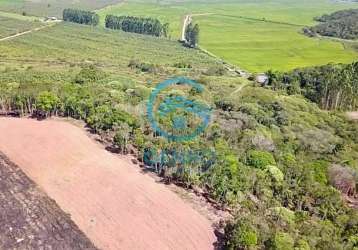 Belíssima área para sítio com terreno de 80.000m² ( 08 hectares ) à venda em tijucas/sc