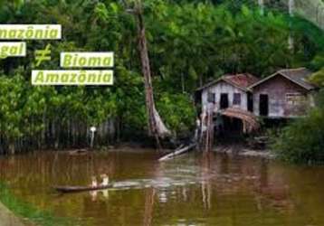 Amazonas: área a venda de 70 mil hectares, com a documentação completa.