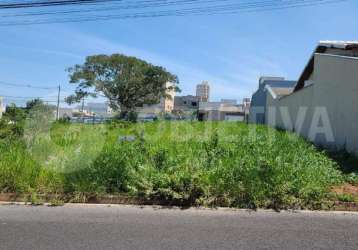 Terreno residencial no bairro bosque dos buritis - infraestrutura completa e pronto para construir