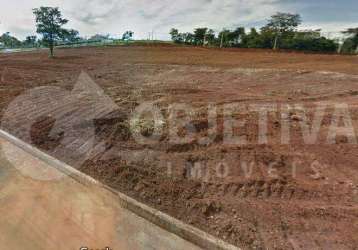 Área à venda, loteamento vale dos vinhedos - uberlandia/mg