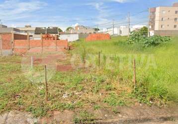 Terreno à venda, jardim brasilia - uberlandia/mg