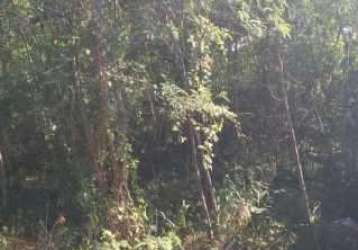 Terreno comercial para venda em rio de janeiro, campo grande