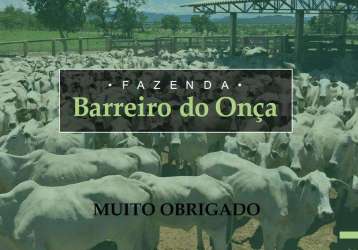 Fazenda barreiro do onça - tocantins