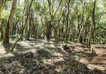 Terreno à venda, 1000 m² por r$ 175.000,00 - vila natal - campos do jordão/sp