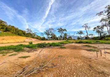 Terreno em condomínio fechado à venda na rodovia br-040, pedro do rio, petrópolis, 25821 m2 por r$ 1.600.000