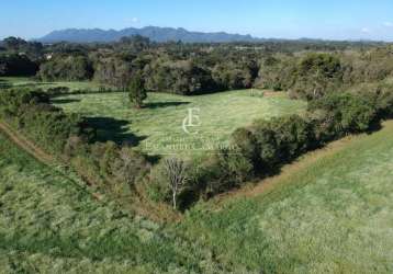 Área  a venda em piraquara-pr