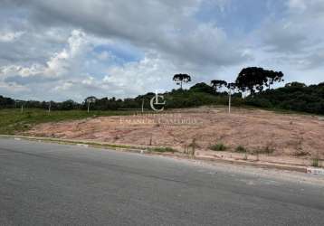 Terrenos parcelados em campo largo