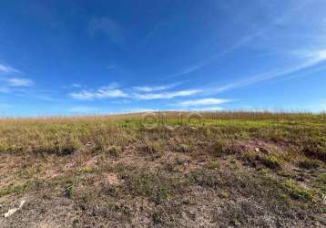 Terreno à venda, 596 m² por r$ 417.300,00 - vitoria regia - piracicaba/sp