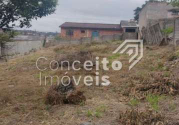 Terreno com 462 m² - olarias