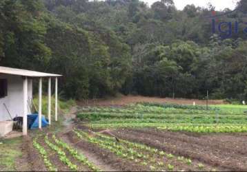 Sitio em piracaia com 8.000m²  r$ 240.000,00 imóvel com plantação, edificação simples não finalizada apenas 15 km do centro.