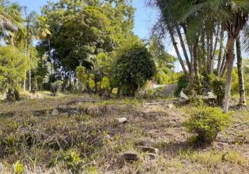 Terreno à venda na rua pomerode, 925, salto do norte, blumenau por r$ 750.000