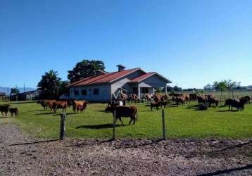 Fazenda com 3 dormitórios à venda, 3300000 m² por r$ 30.000.000,00 - três coqueiros - são joão do sul/sc