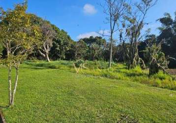 Terreno à venda, 3333 m² por r$ 1.400.000,00 - ratones - florianópolis/sc