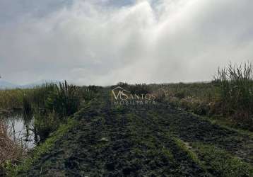 Fazenda com 1 dormitório à venda, 1520000 m² por r$ 3.300.000,00 - centro - imaruí/sc