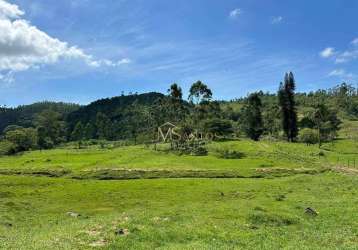 Fazenda à venda, 170000 m² por r$ 950.000,00 - taquaraçutuba - imaruí/sc