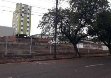 Terreno à venda, 2400 m² por r$ 4.500.000,00 - vitória - londrina/pr