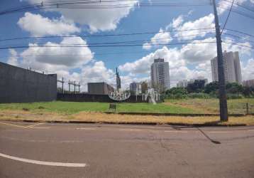 Terreno para alugar, 519 m² - parque residencial alcântara - londrina/pr