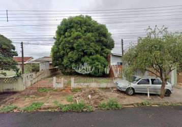 Terreno à venda, 250 m² por r$ 120.000,00 - ouro verde - londrina/pr