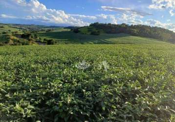 Sítio à venda por r$ 3.700.000 - rural - londrina/pr