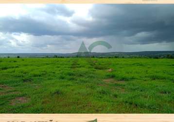 Vendo fazenda próxima a feira nova do maranhão com 7.000 hectares