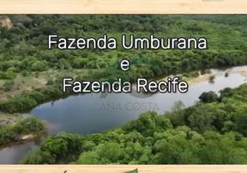 Vendo fazenda em castelo do piauí com 12.372 hectares