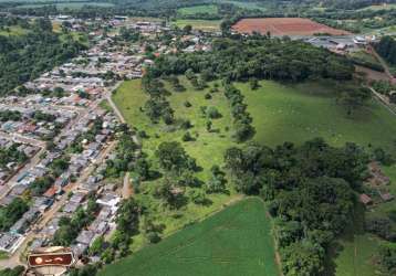 Área  à venda, periquitos - ponta grossa