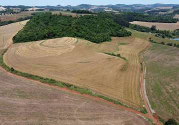 Area rural a venda na cidade de pato branco - linha rio caçadorzinho