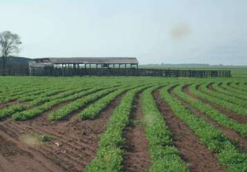 Fazenda para venda em marília, palmital, 3 dormitórios, 2 suítes, 3 banheiros, 2 vagas