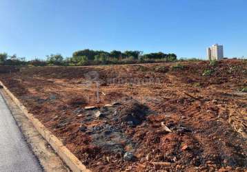 Terreno padrão em são josé do rio preto