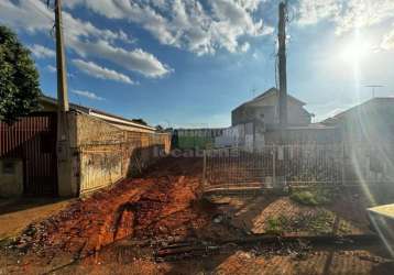 Terreno - vila ipiranga - ótima localização.