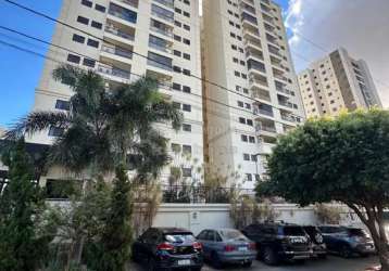 Apartamento padrão em são josé do rio preto