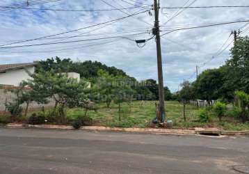 Palestina - excelente terreno residencial em rua de alto fluxo, pronto para construção.